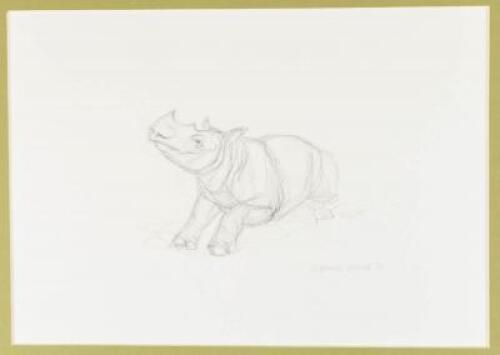 The Rhinoceros. A Monograph