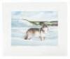 Original drawing for illustration from Antelope, Bison, Cougar with color giclee print - 6