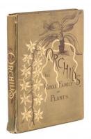 Orchids: The Royal Family of Plants