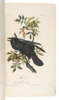 The Birds of America, from Drawings Made in the United States