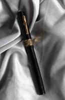 WILLIAMSON: Black Hard Rubber Screw-Top Eyedropper Fountain Pen, Super Flex Nib, Uncommon