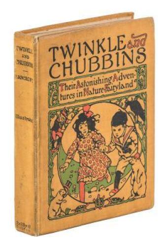 Twinkle and Chubbins: Their Astonishing Adventures in Nature-Fairyland