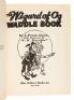 The Wizard of Oz Waddle Book - 2
