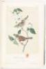 The Birds of America, from Drawings Made in the United States and Their Territories - 11