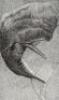Moby-Dick; or, The Whale - 5