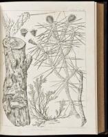 Reports of Explorations and Surveys, to Ascertain the most Practicable and Economical Route for a Railroad from the Mississippi River to the Pacific Ocean. Made under the Direction of the Secretary of War, in 1853-4. Volume IV