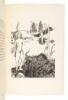 Let Us Compare Mythologies - 6