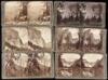 Yosemite Valley Through the Stereoscope