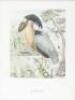 Birds of the Pacific Slope - 5