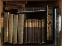 Sixteen volumes of 19th century literature