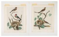 Two original watercolor paintings - nesting Bullfinches and Buntings
