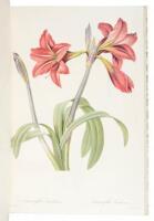 Album de Redouté. With Twenty-Five Facsimile Colour Plates from the Edition of 1825 and a New Redouté Bibliography
