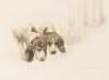 British Hounds and Gun-Dogs: Twenty-Four Photogravures of the Finest Quality After Original Paintings by Maud Earl - 5