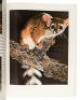 Walt Disney's Living Desert - inscribed - 4