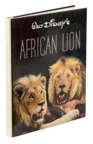 Walt Disney's African Lion - inscribed