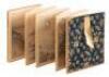 Chinese accordion book with hand painted silk panels
