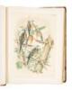 Studer's Popular Ornithology. The Birds of North America: Drawn and Colored from Life by Theodore Jasper, M.D - 6