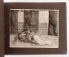 Maori Studies [and] Art Photos of New Zealand - 2