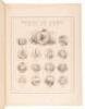 Johnson's New Illustrated Family Atlas of the World...With Physical Geography, and with Descriptions, Geographical, Statistical and Historical, Including the Latest Federal Census, and the Existing Religious Denominations in the World - 4