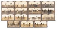 Lot of fifteen stereoscope cards