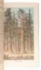 Beauties of California: Views and Descriptions of Yosemite Valley, Big Trees, Geysers, Lake Tahoe, Donner Lake, San Francisco, '49 & '83, Los Angeles, and towns, orange groves and vineyards of Southern California - 4