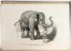 The Jungle Book [&] The Second Jungle Book - 6