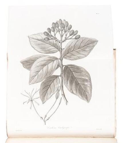 A Description of the Genus Cinchona, comprehending the various species of vegetables from which the Peruvian and other barks of a similar quality are taken. Illustrated by figures of all the species hitherto discovered...