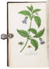 A materia medica botanica, containing the botanical analysis, natural history, and chemical and medical properties of plants: illustrated by colored engravings of original drawings, taken from nature - 3