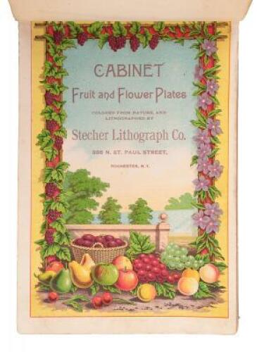 Cabinet Fruit and Flower Plates