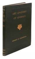 Studies in the Art Anatomy of Animals