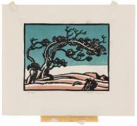 Juniper [Tree] - color print