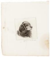 Red Brucie - etching of a Cocker Spaniel, signed