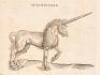 The History of Four-footed Beasts and Serpents ... collected out of the writings of Conradus Gesner and other authors ... whereunto is now added The Theater of Insects ... - 6