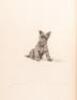 Marguerite Kirmse's Dogs - 3