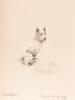 Marguerite Kirmse's Dogs - 6