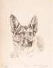 Marguerite Kirmse's Dogs - 9