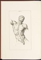 Anatomy Improv'd and Illustrated