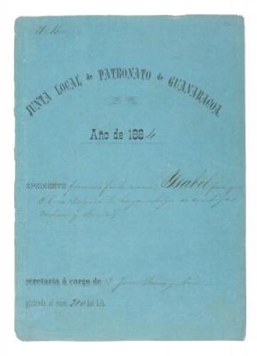 Manumission Expediente/Portfolio regarding a free black mother who children returned to her