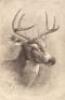 Big Game Hunting in the Rockies and on the Great Plains: Comprising "Hunting Trips of a Ranchman" and "The Wilderness Hunter" - 9