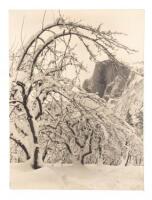 Yosemite photo album circa 1940s with Ansel Adams print