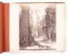 Photograph album with many Yosemite views by C.E. Watkins and others, with imprints of Isaiah W. Taber and others - 5