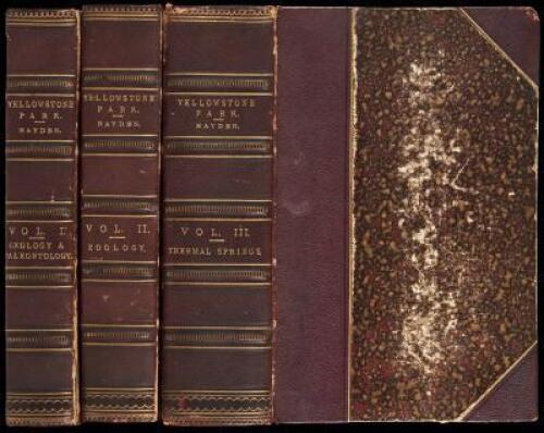 Twelfth Annual Report of the United States Geological and Geographical Survey of the Territories: A Report of Progress of the Exploration in Wyoming and Idaho for the Year 1878
