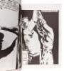 Twenty-one zines by Raymond Pettibon - 4