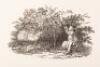 A Portfolio of Thomas Bewick Wood Engravings - 5
