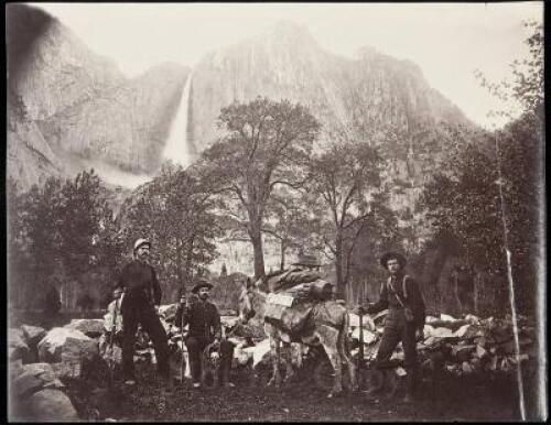 Fifty-three albumen photographs of Yosemite