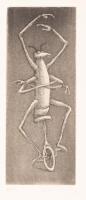 Insect on Unicycle