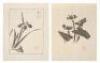 Ipswich Prints, Third Set: Reproductions of Japanese Ink Sketches - 4
