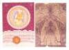 Two San Francisco psychedelic rock posters