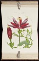 Flore des Serres et des Jardins de l'Europe: Annales G&eacute;n&eacute;rales d'Horticulture - Volume XX