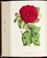 Flore des Serres et des Jardins de l'Europe: Journal G&eacute;n&eacute;ral d'Horticulture - Volume XIV